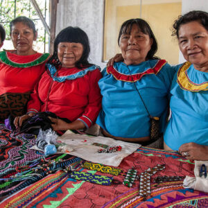 Plan Estratégico Sectorial Multianual 2024-2030