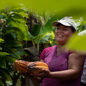 Análisis de causas-raíz de la cadena agroproductiva de cacao-chocolate