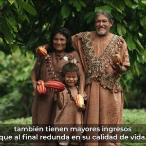 Video: Cacao en armonía con la naturaleza