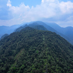 Plan de Desarrollo Local Concertado de Alexander Von Humboldt