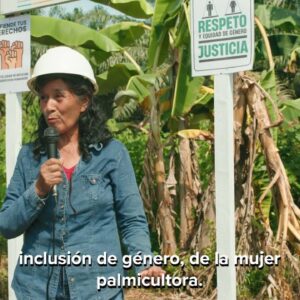Video: Palma aceitera en equilibrio con la conservación.