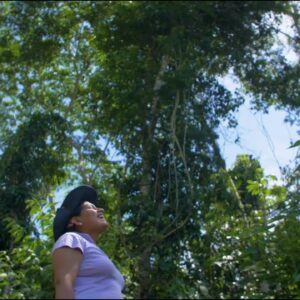 Video: Construyendo territorios sostenibles.